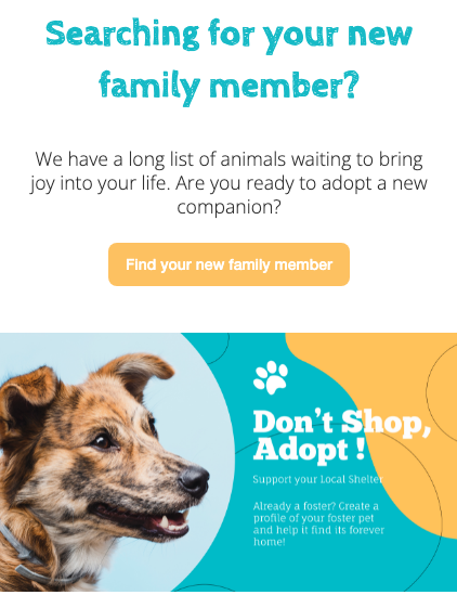 Foster4Paws-image